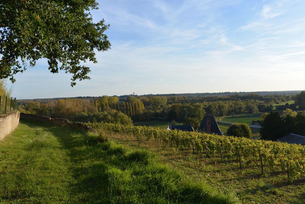 Gites Troglodytes Du Chateau De L'Etoile Vernou-sur-Brenne חדר תמונה